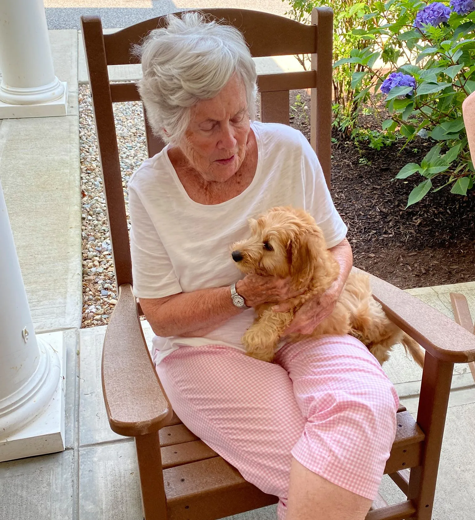Bridges Resident – Puppy