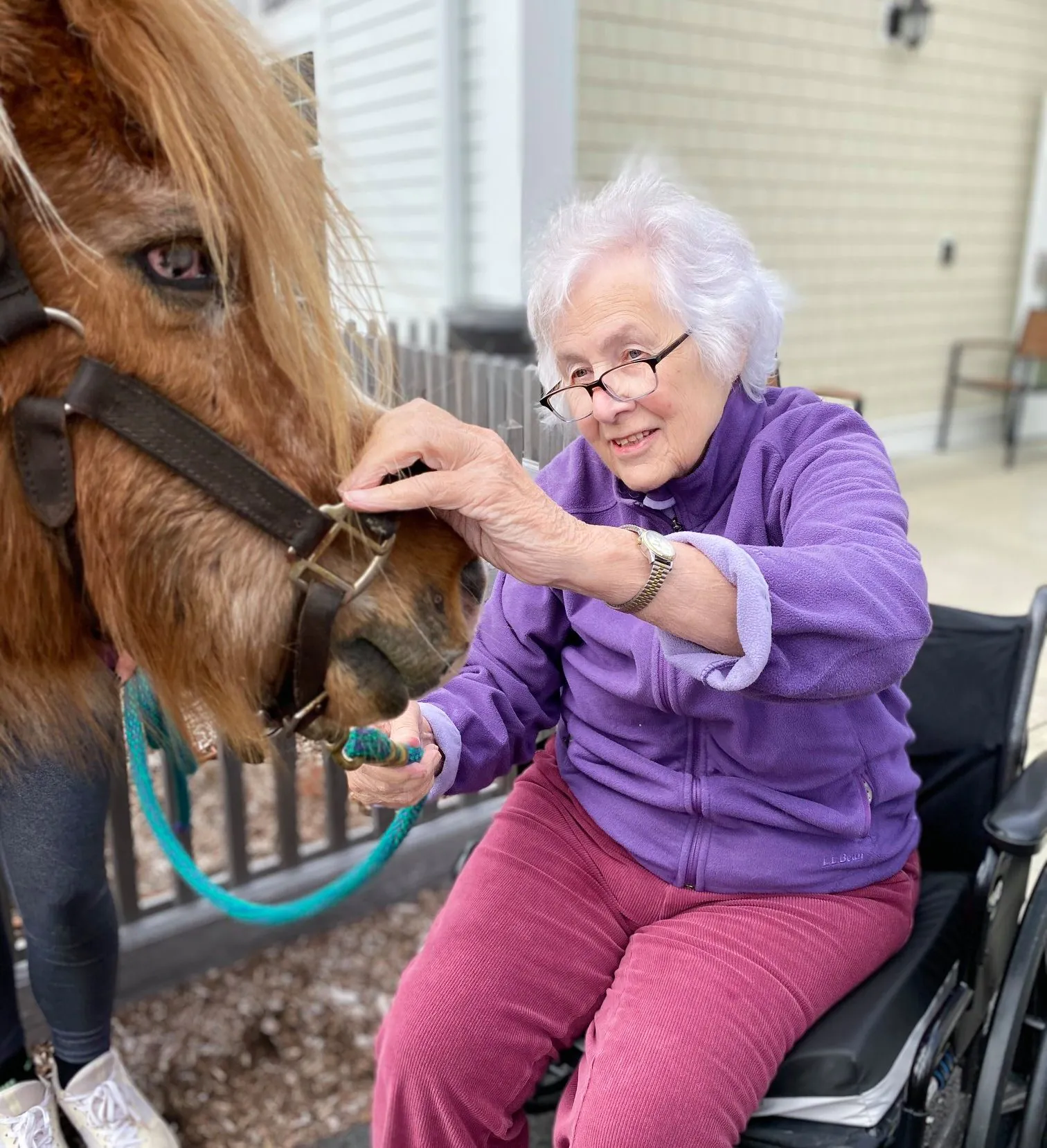 Bridges Resident – Pony