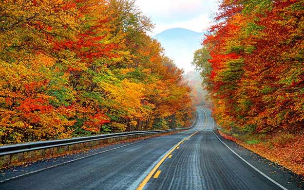 fall drive down a highway