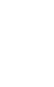 MERIT WINNER