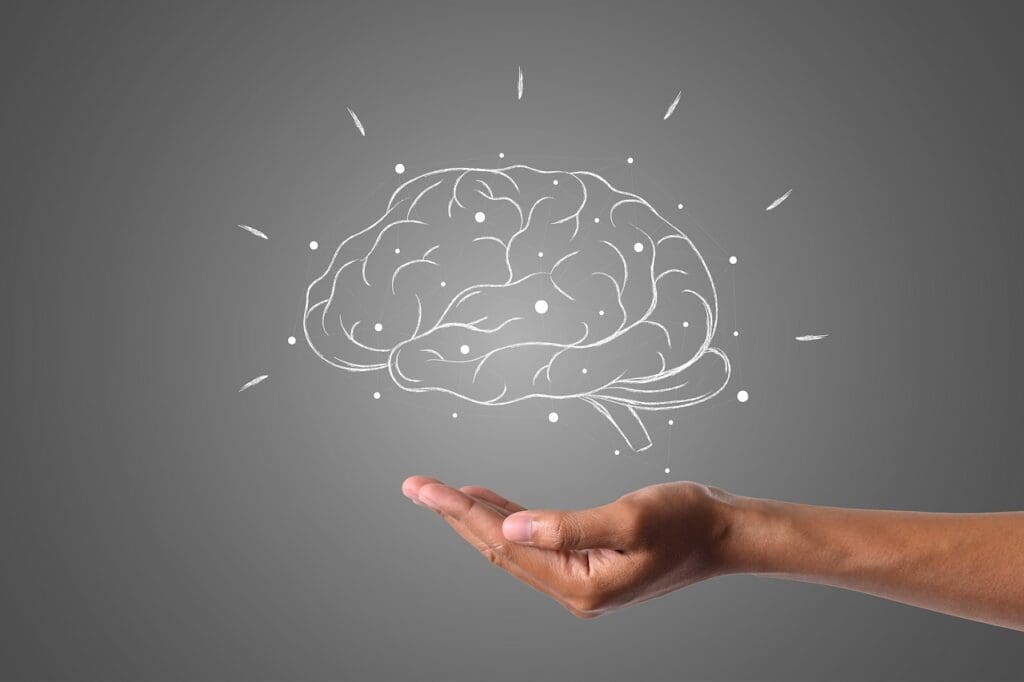 importance of sleep for brain function